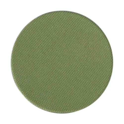 Sombra verde mate en godet Pierre Rene 016